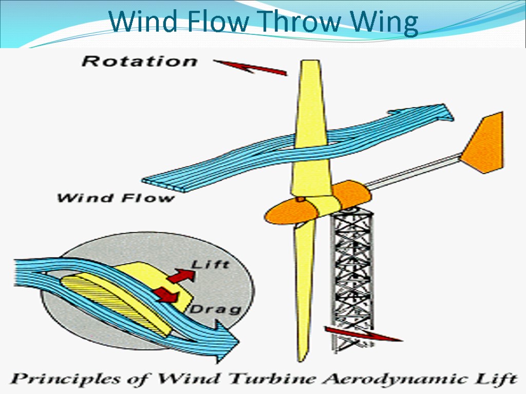 Wind Flow Throw Wing